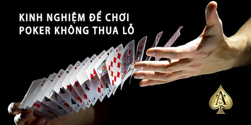 Mẹo chơi bài Poker cơ bản cho người mới bắt đầu